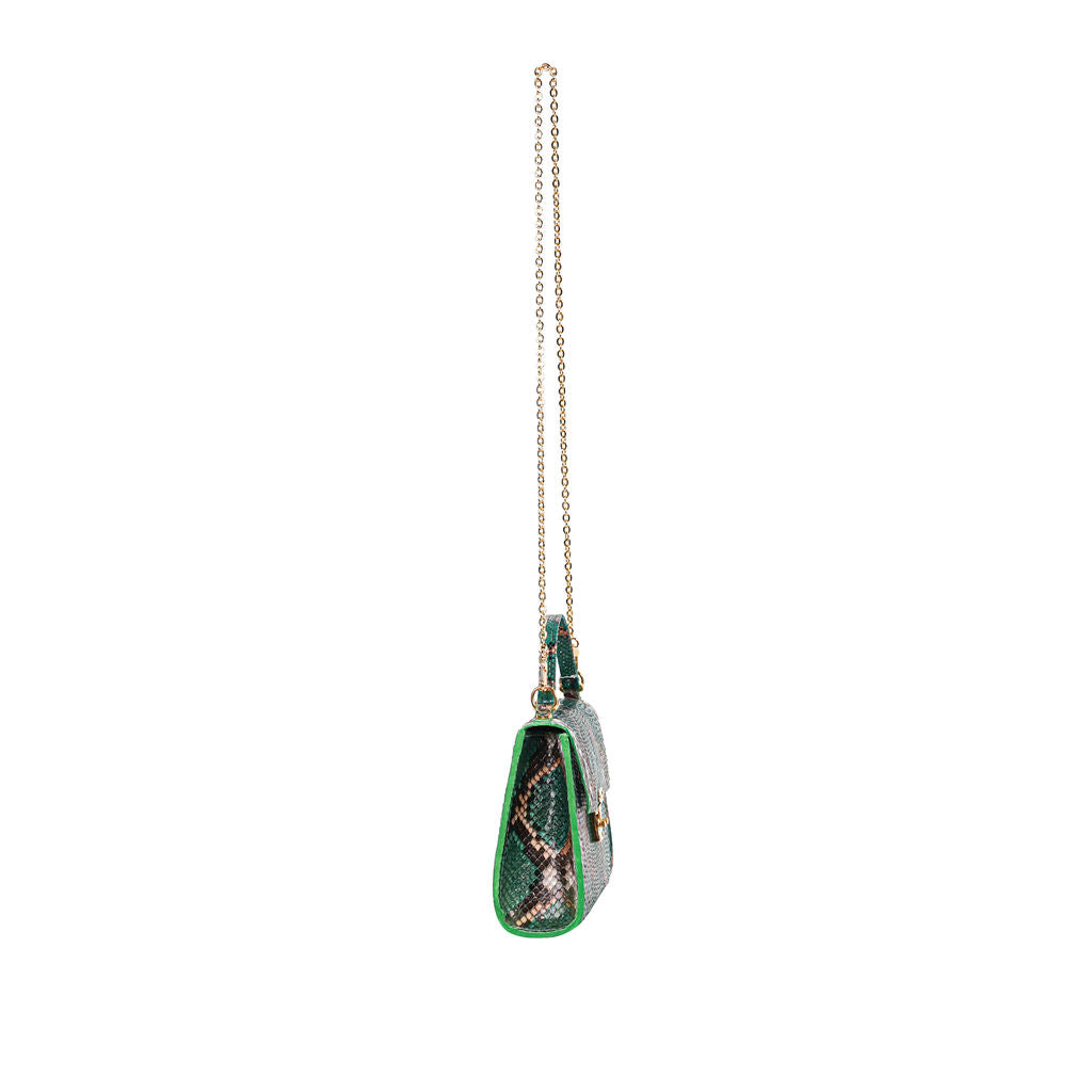 Aya Green and Grey Python