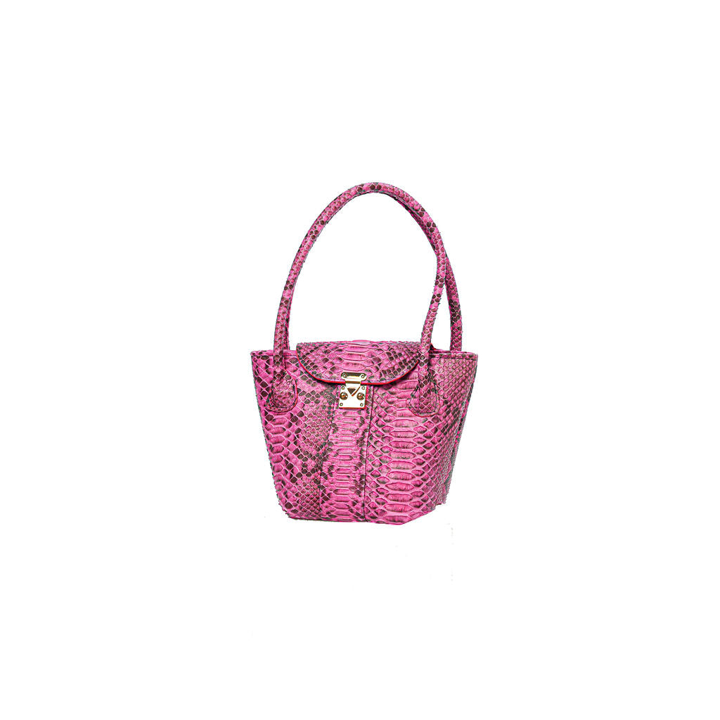 Isabella Fuschia Python