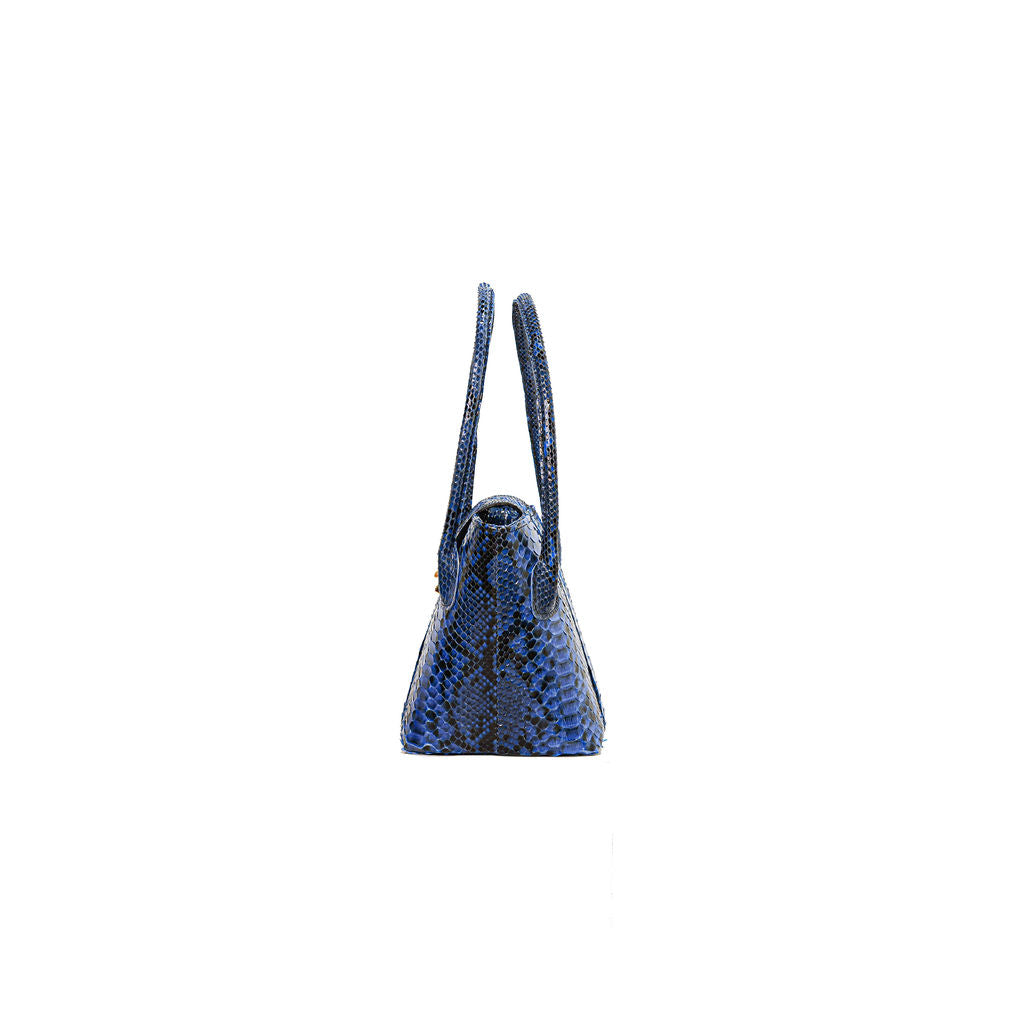 Isabella Majorca Blue Python